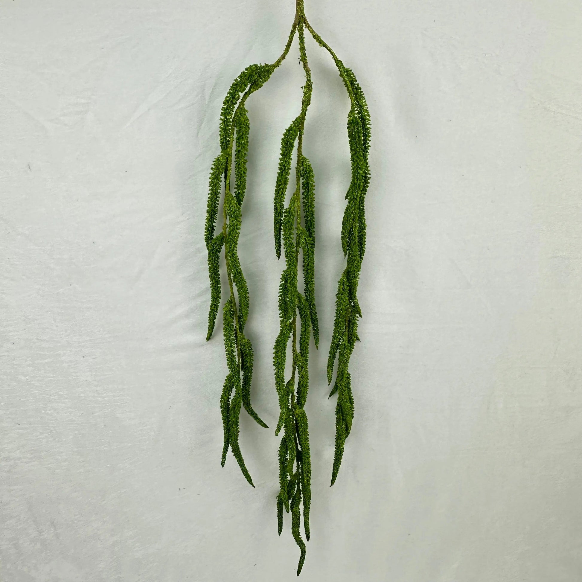 Green Silk Amaranthus Stem RosesHQ.com