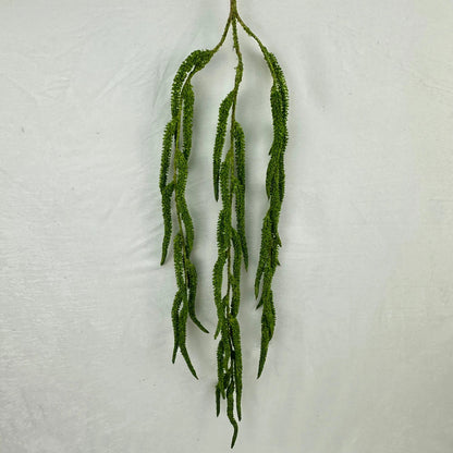 Green Silk Amaranthus Stem RosesHQ.com
