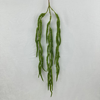 Green Silk Amaranthus Stem RosesHQ.com