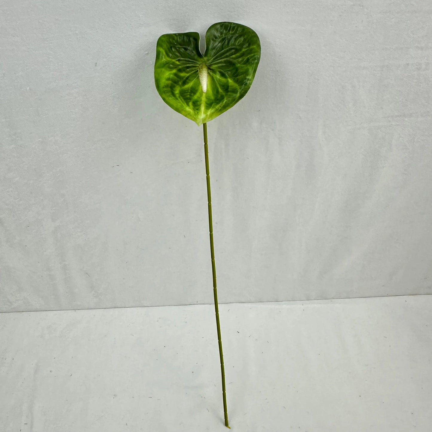 Green Real Touch Anthurium Stem RosesHQ.com