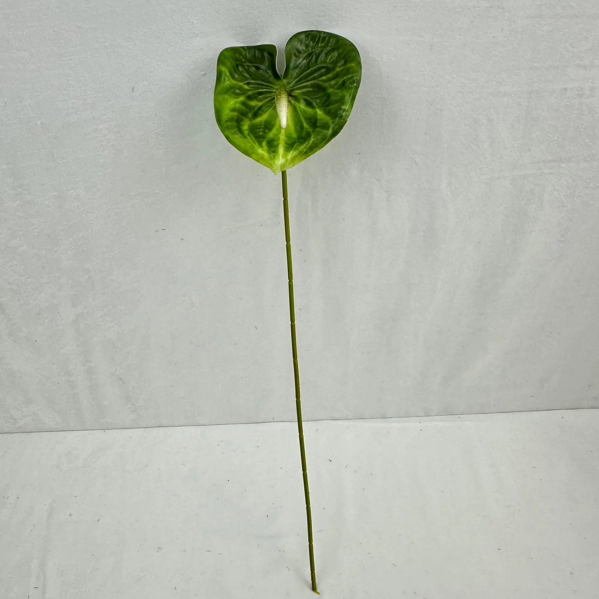 Green Real Touch Anthurium Stem RosesHQ.com