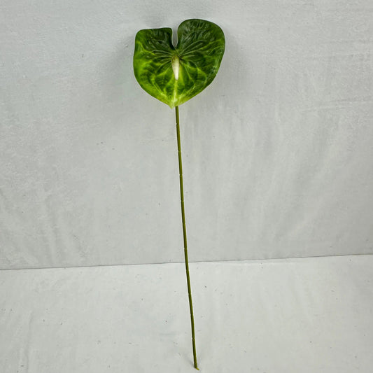 Green Real Touch Anthurium Stem RosesHQ.com