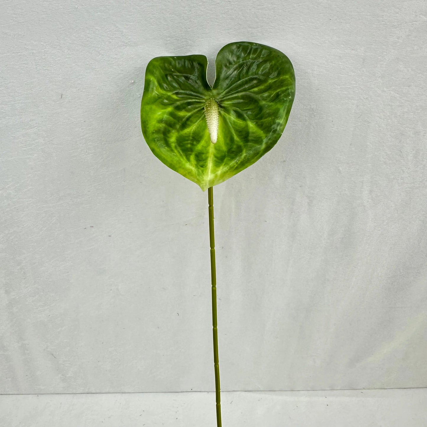 Green Real Touch Anthurium Stem RosesHQ.com