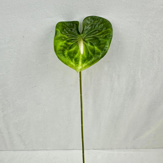 Green Real Touch Anthurium Stem RosesHQ.com