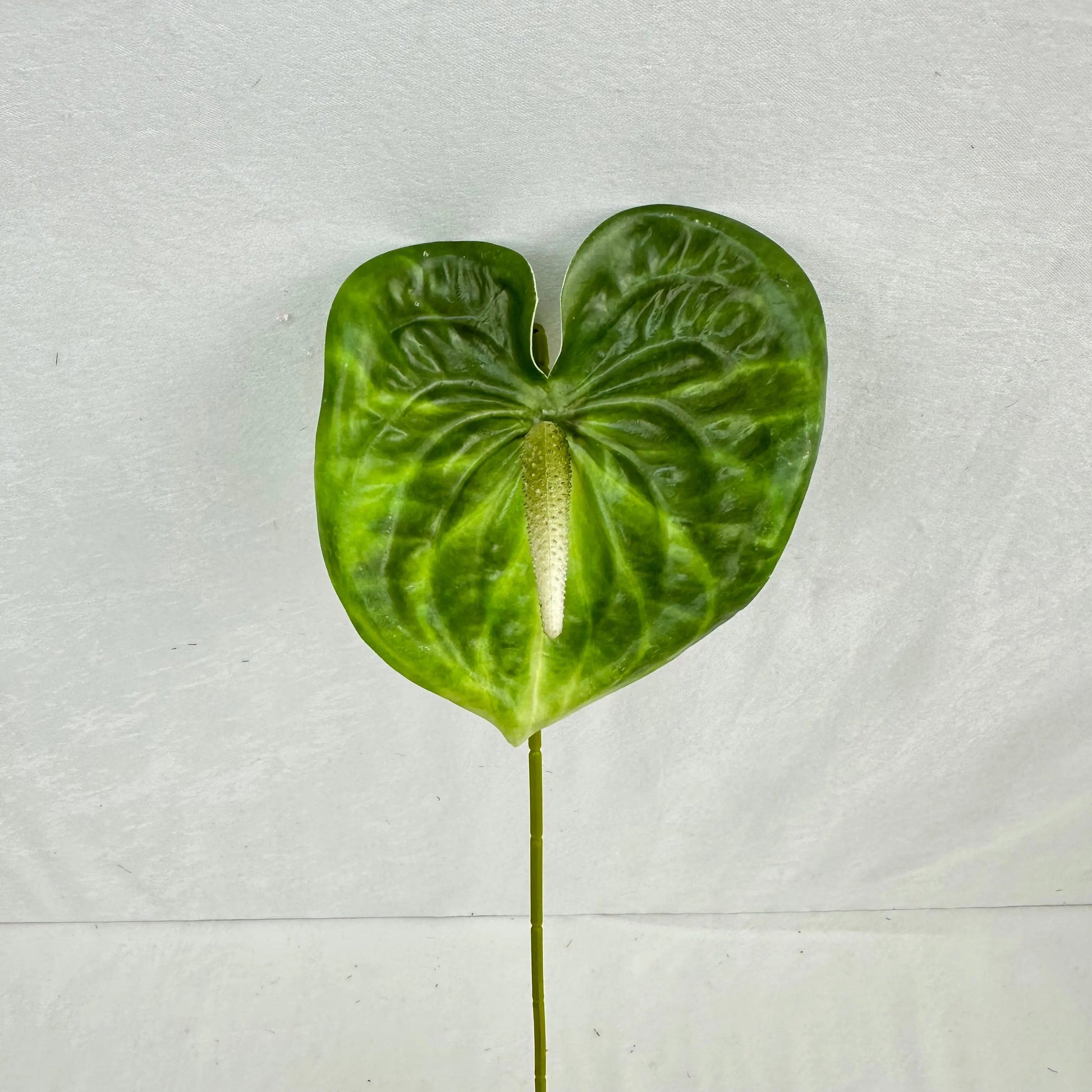 Green Real Touch Anthurium Stem RosesHQ.com