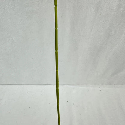 Green Real Touch Anthurium Stem RosesHQ.com