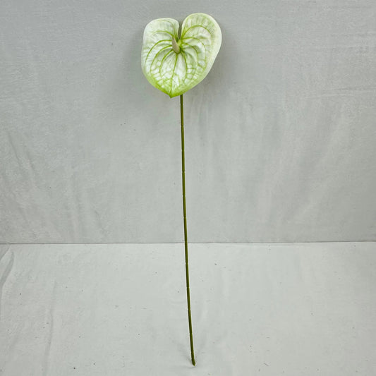White Real Touch Anthurium Stem RosesHQ.com