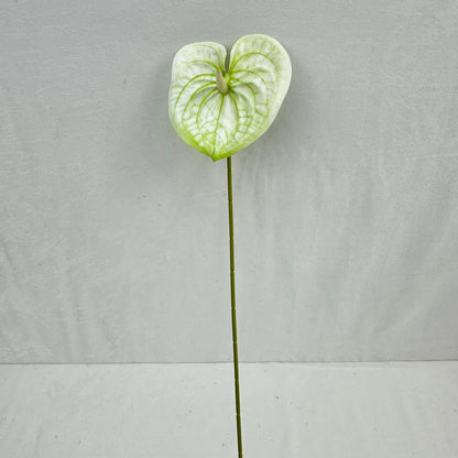 White Real Touch Anthurium Stem RosesHQ.com