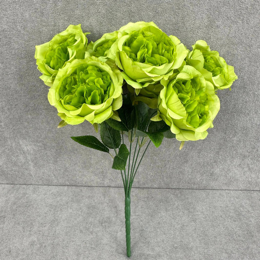 Green Silk Austin Rose Bush - 7 Heads RosesHQ.com