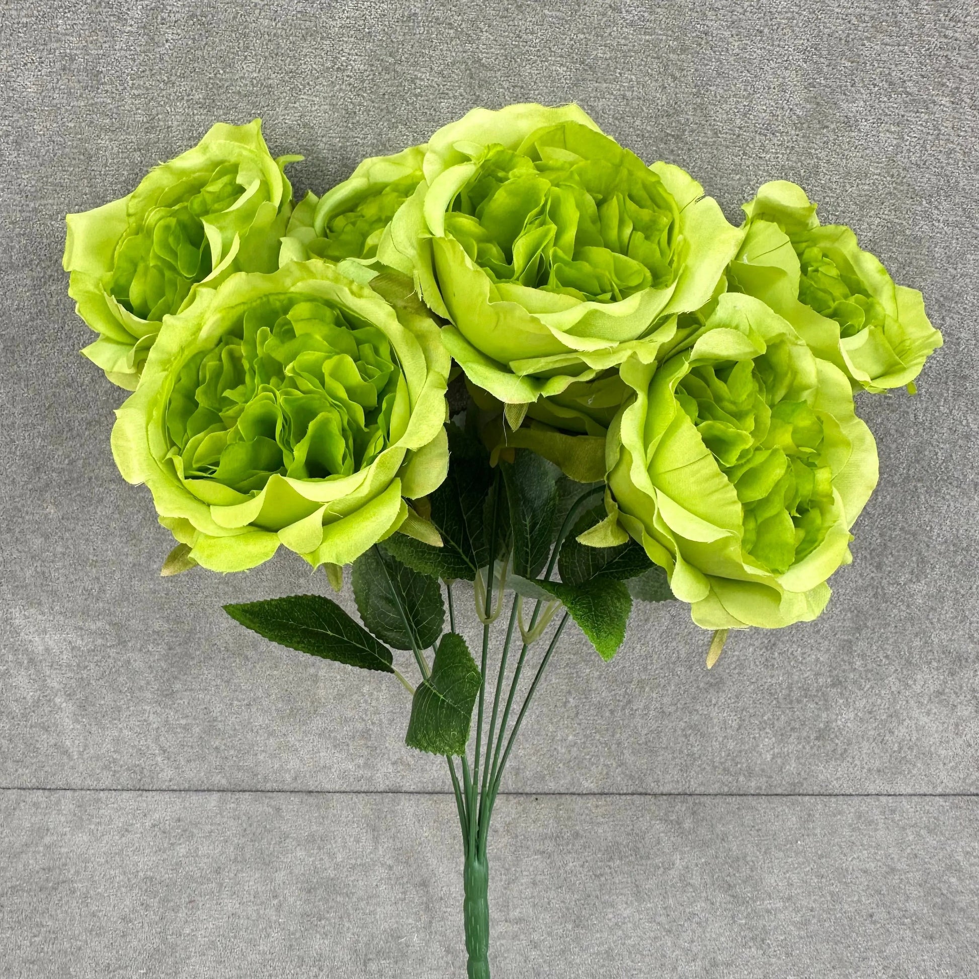 Green Silk Austin Rose Bush - 7 Heads RosesHQ.com