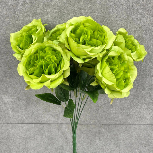 Green Silk Austin Rose Bush - 7 Heads RosesHQ.com