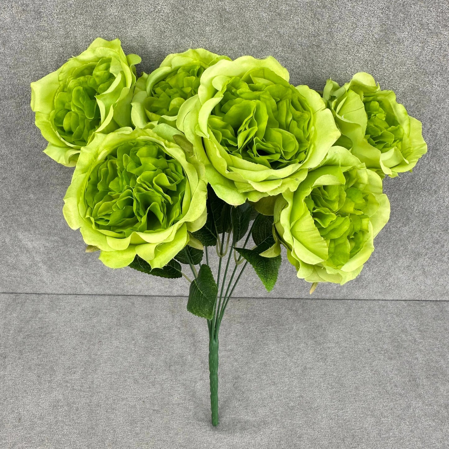 Green Silk Austin Rose Bush - 7 Heads RosesHQ.com