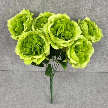 Green Silk Austin Rose Bush - 7 Heads RosesHQ.com