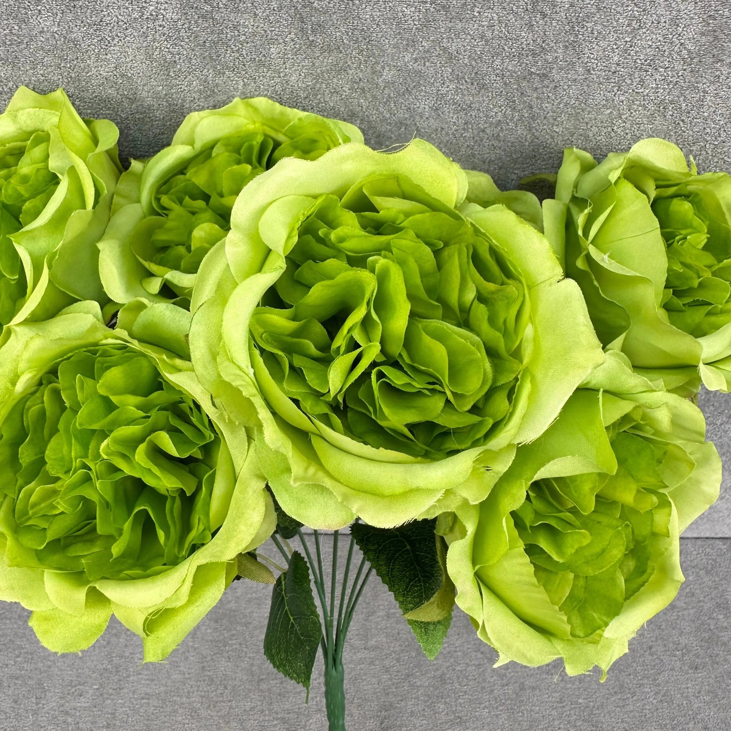 Green Silk Austin Rose Bush - 7 Heads RosesHQ.com