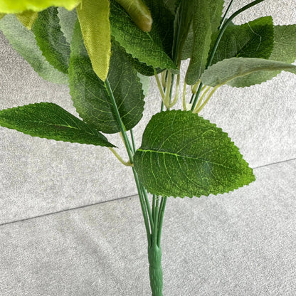 Green Silk Austin Rose Bush - 7 Heads RosesHQ.com