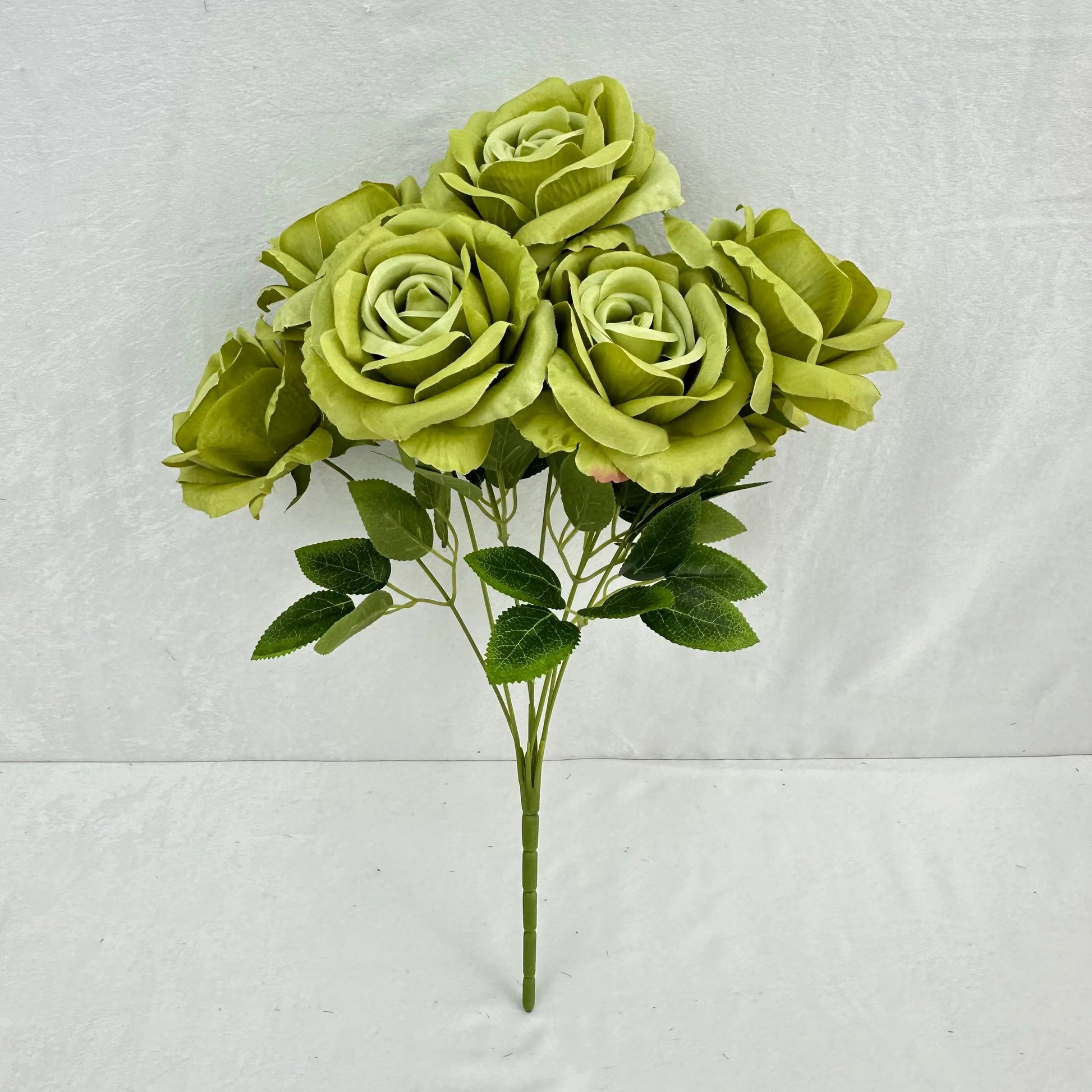 Green Silk Star Moon Rose Bush - 7 Heads RosesHQ.com