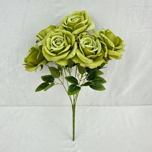 Green Silk Star Moon Rose Bush - 7 Heads RosesHQ.com