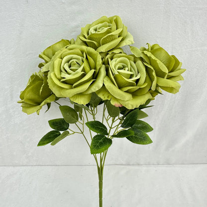 Green Silk Star Moon Rose Bush - 7 Heads RosesHQ.com