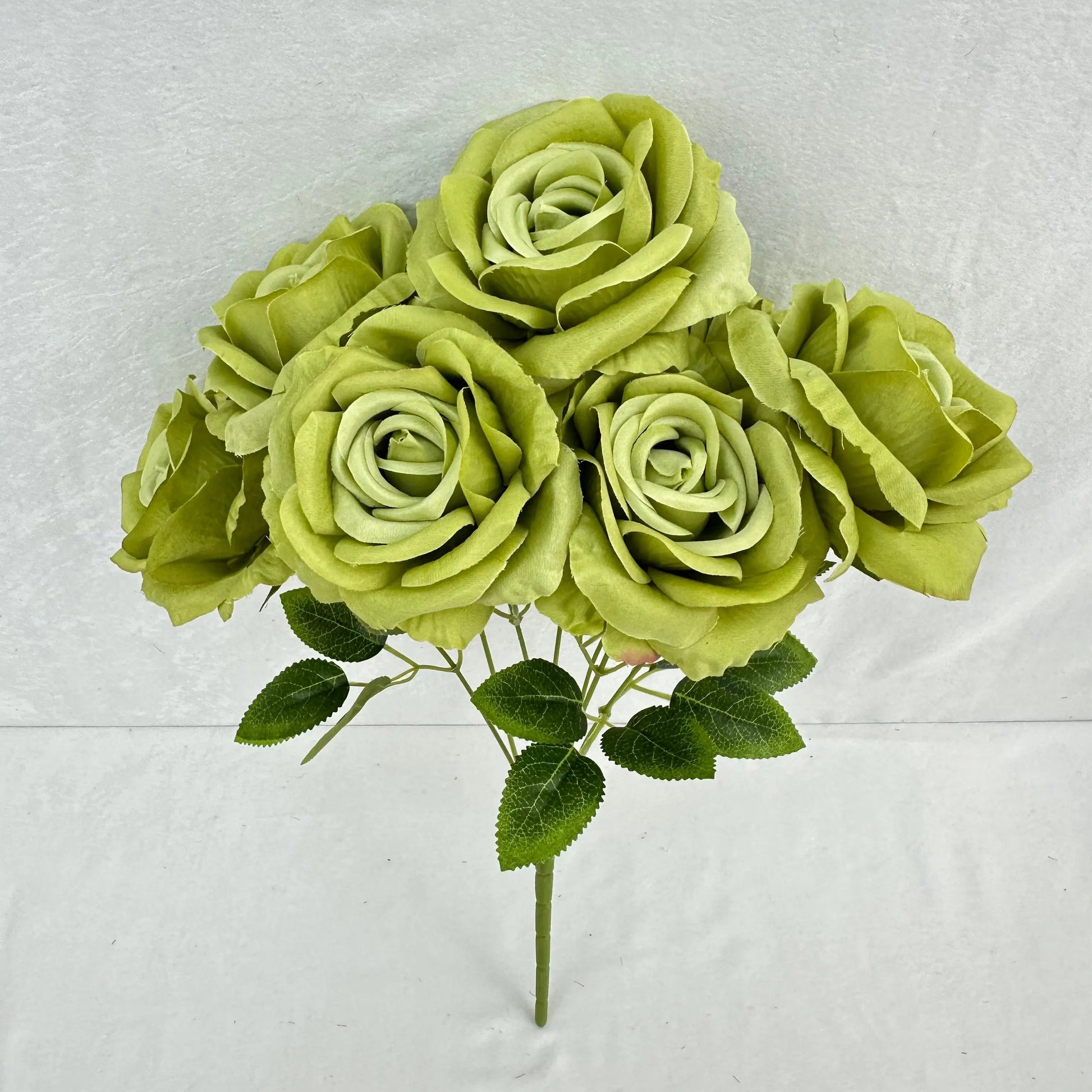 Green Silk Star Moon Rose Bush - 7 Heads RosesHQ.com