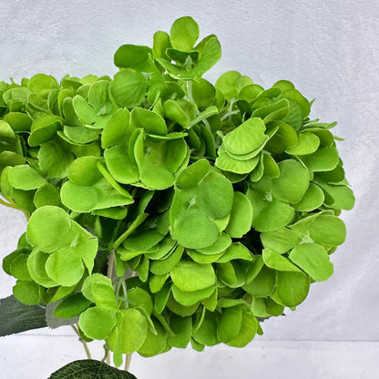Green Silk French Hydrangea Bush - 5 Heads RosesHQ.com