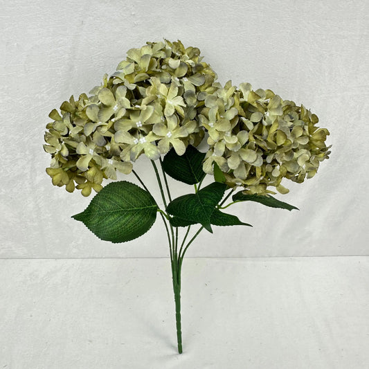 Green Silk GJ Hydrangea Bush - 5 Heads RosesHQ.com