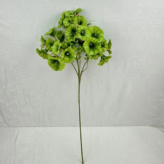 Green Silk Morning Glory Spray RosesHQ.com