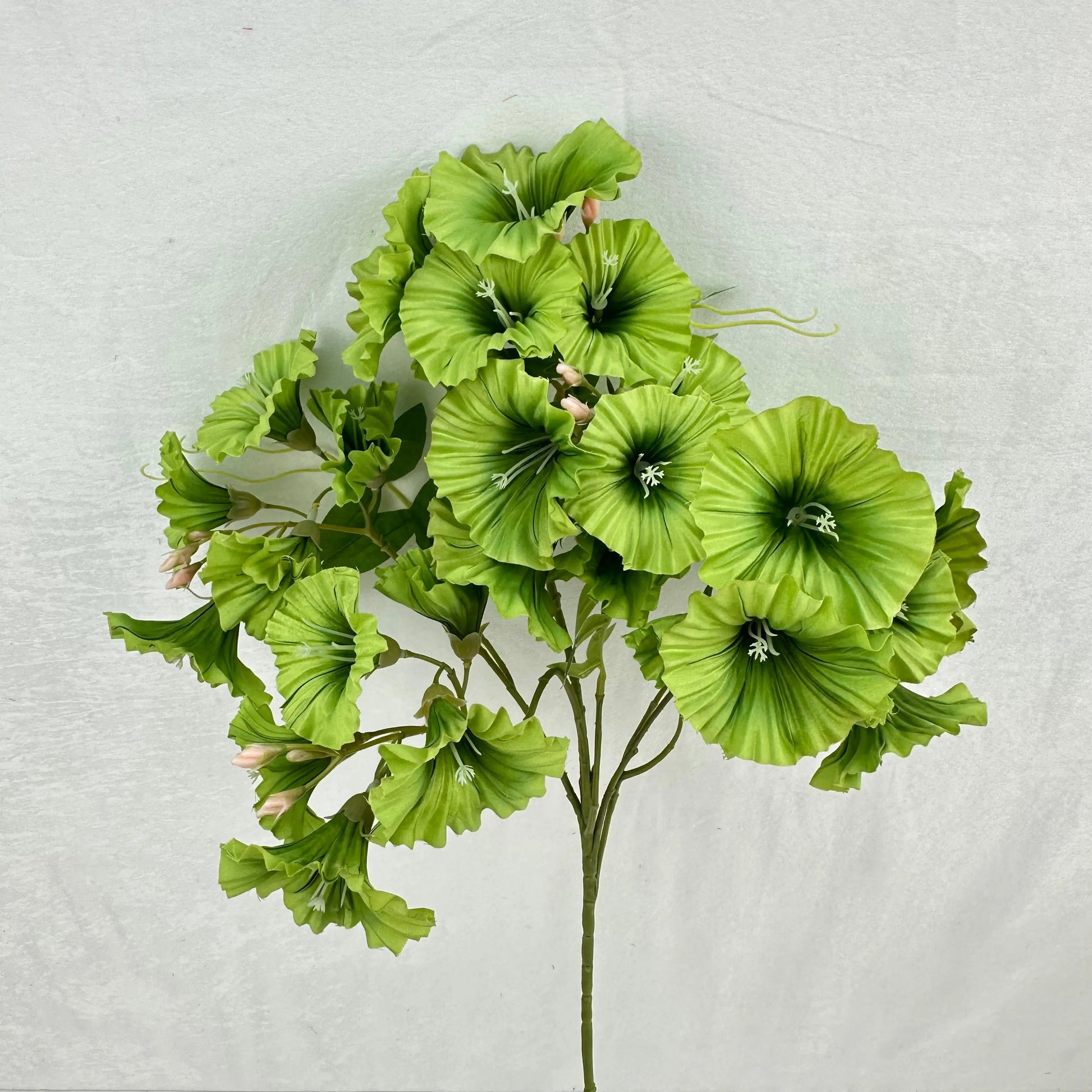 Green Silk Morning Glory Spray RosesHQ.com