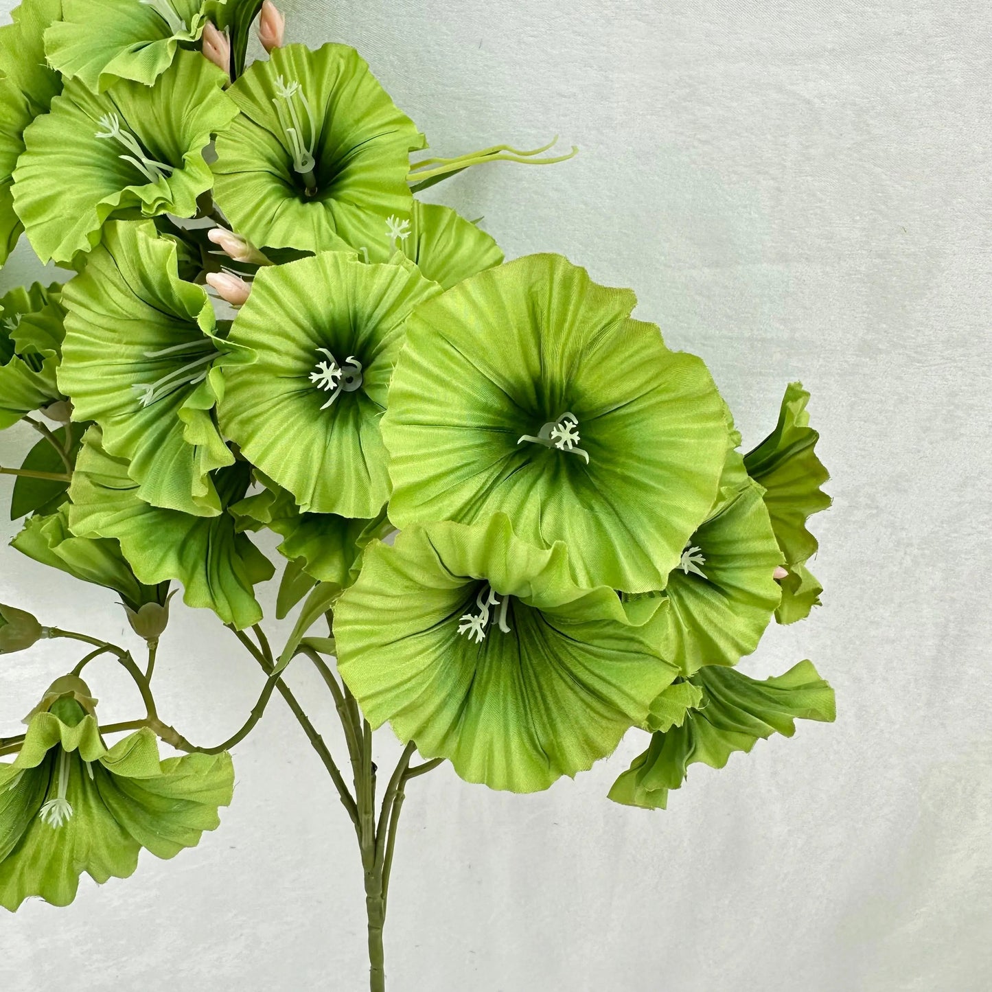 Green Silk Morning Glory Spray RosesHQ.com