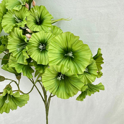 Green Silk Morning Glory Spray RosesHQ.com