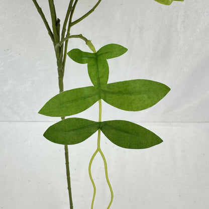 Green Silk Morning Glory Spray RosesHQ.com