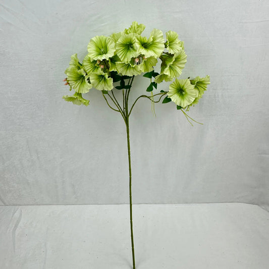 Green Silk Morning Glory Spray RosesHQ.com