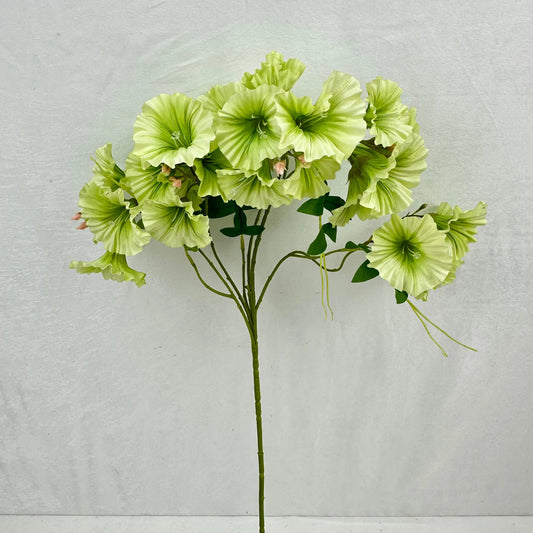 Green Silk Morning Glory Spray RosesHQ.com