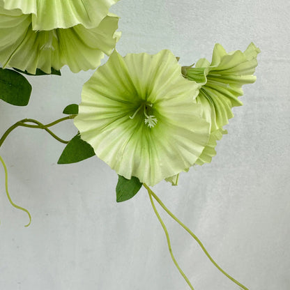 Green Silk Morning Glory Spray RosesHQ.com