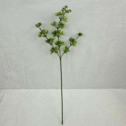 Green Millet Fruit Branch RosesHQ.com