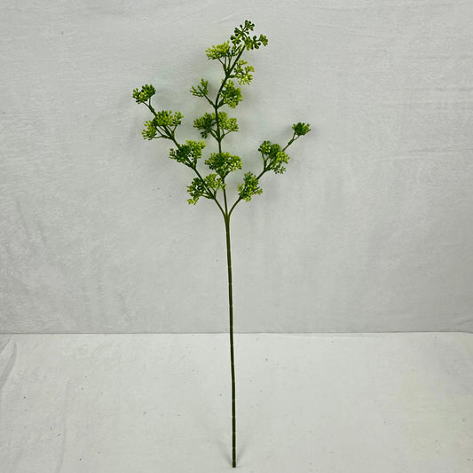 Green Millet Fruit Branch RosesHQ.com