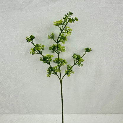 Green Millet Fruit Branch RosesHQ.com