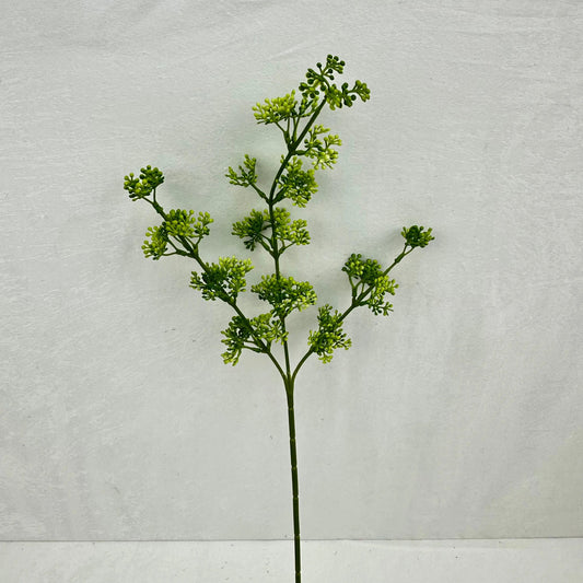 Green Millet Fruit Branch RosesHQ.com