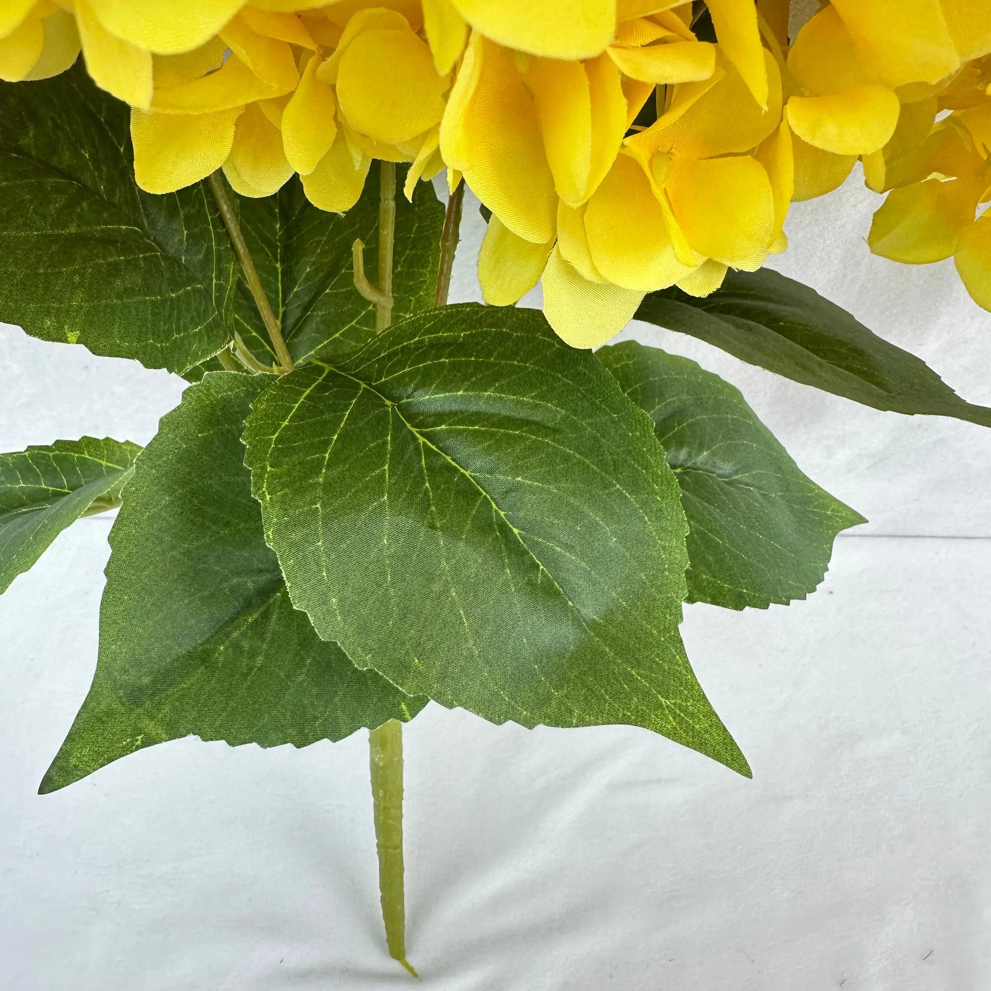 Yellow Silk French Hydrangea Bush - 5 Heads RosesHQ.com