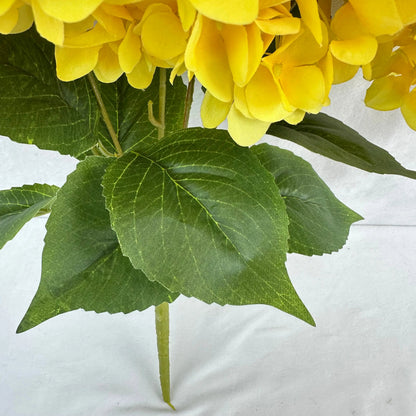 Yellow Silk French Hydrangea Bush - 5 Heads RosesHQ.com