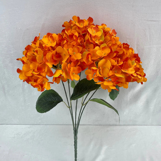 Orange Silk French Hydrangea Bush - 5 Heads RosesHQ.com