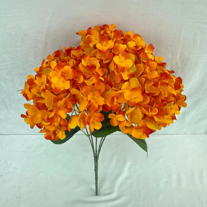 Orange Silk French Hydrangea Bush - 5 Heads RosesHQ.com