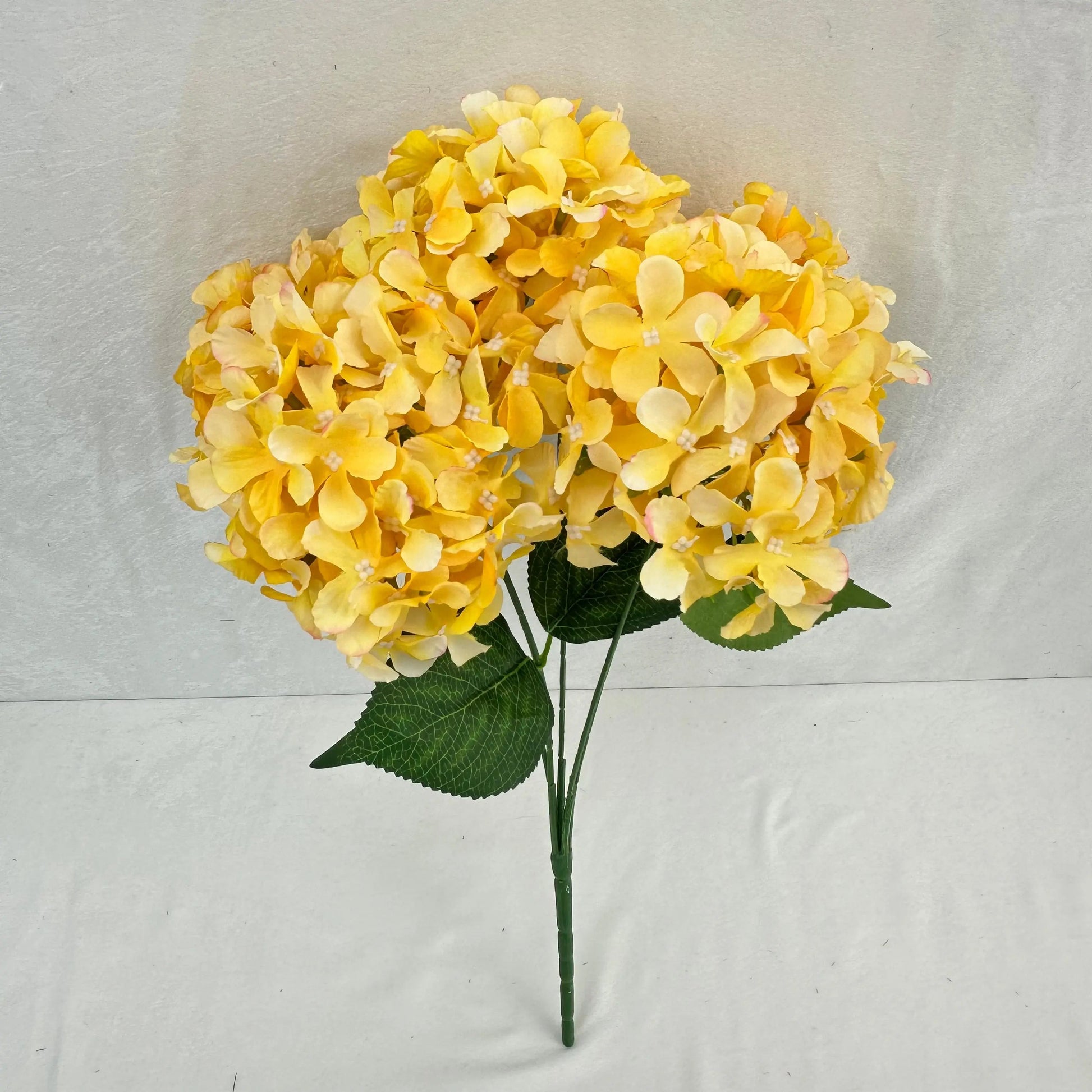 Yellow Silk GJ Hydrangea Bush - 5 Heads RosesHQ.com