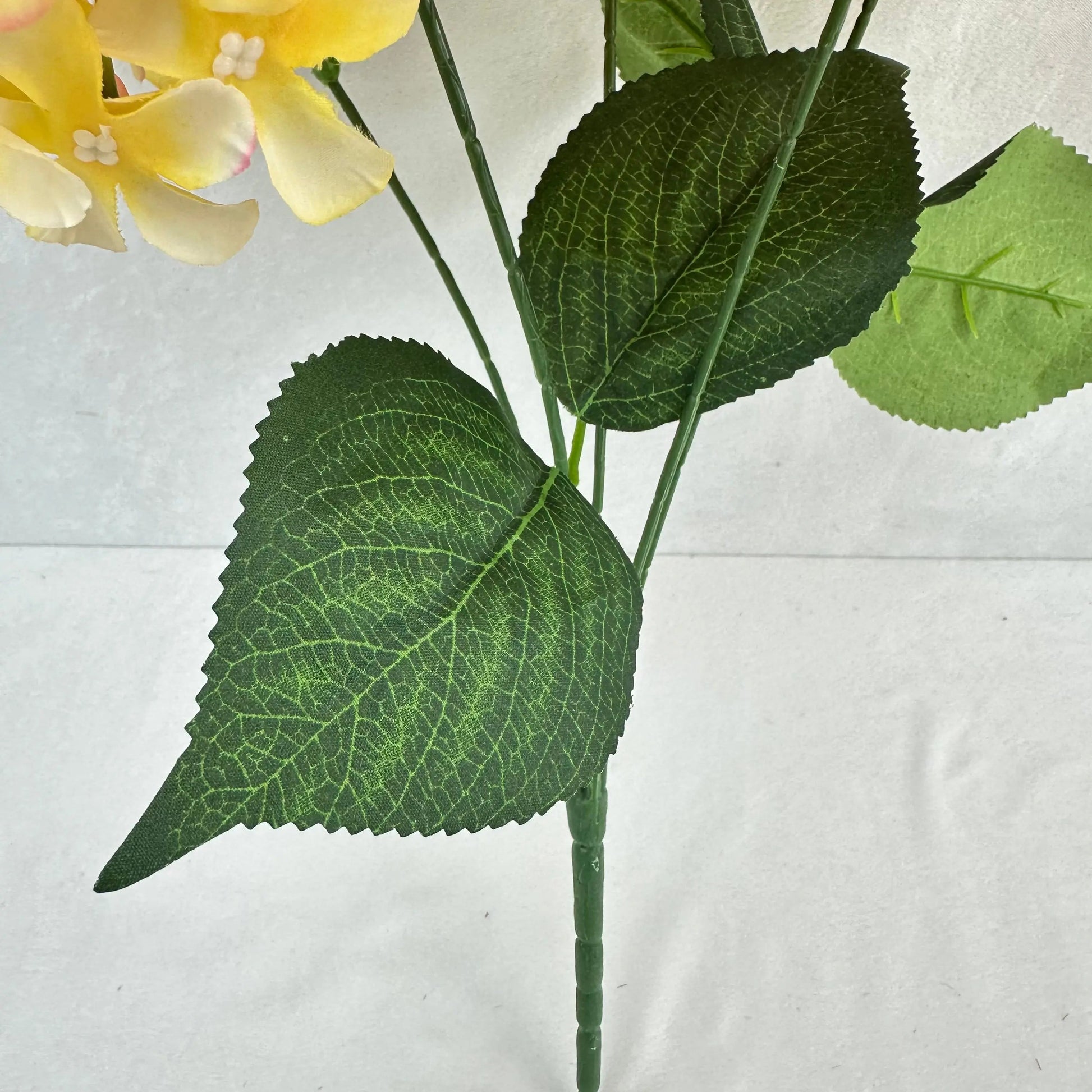 Yellow Silk GJ Hydrangea Bush - 5 Heads RosesHQ.com