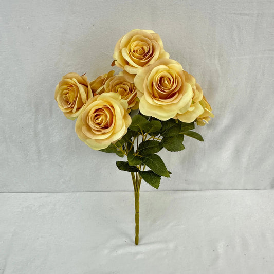 Yellow Silk Bulgarian Rose Bush - 9 Heads RosesHQ.com