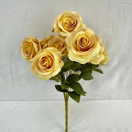 Yellow Silk Bulgarian Rose Bush - 9 Heads RosesHQ.com