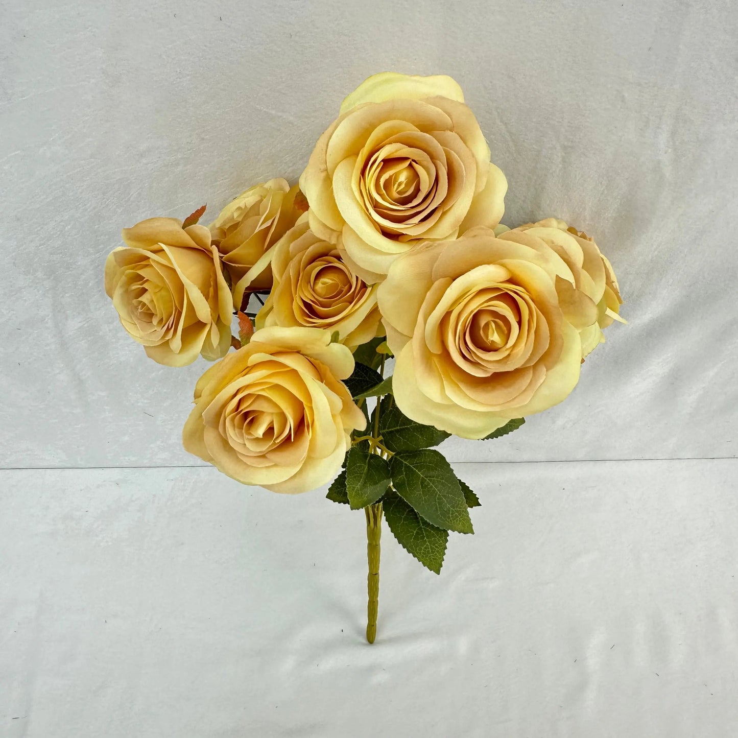 Yellow Silk Bulgarian Rose Bush - 9 Heads RosesHQ.com
