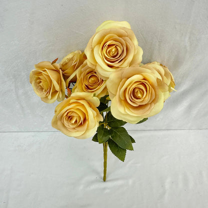 Yellow Silk Bulgarian Rose Bush - 9 Heads RosesHQ.com
