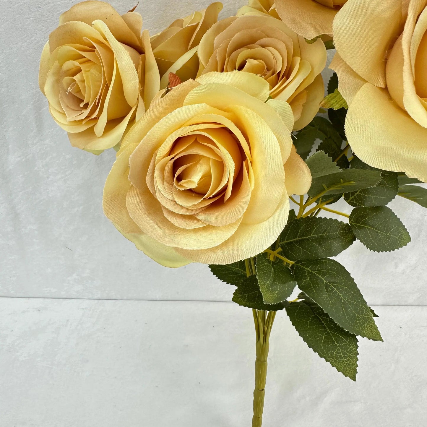 Yellow Silk Bulgarian Rose Bush - 9 Heads RosesHQ.com