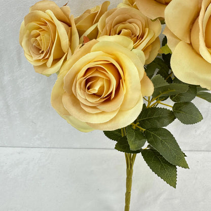 Yellow Silk Bulgarian Rose Bush - 9 Heads RosesHQ.com