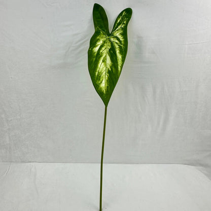 Green Silk Taro Heart Leaf RosesHQ.com